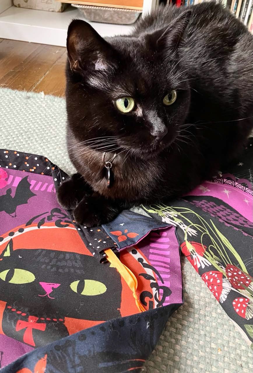 Black cat sitting on Halloween sacks