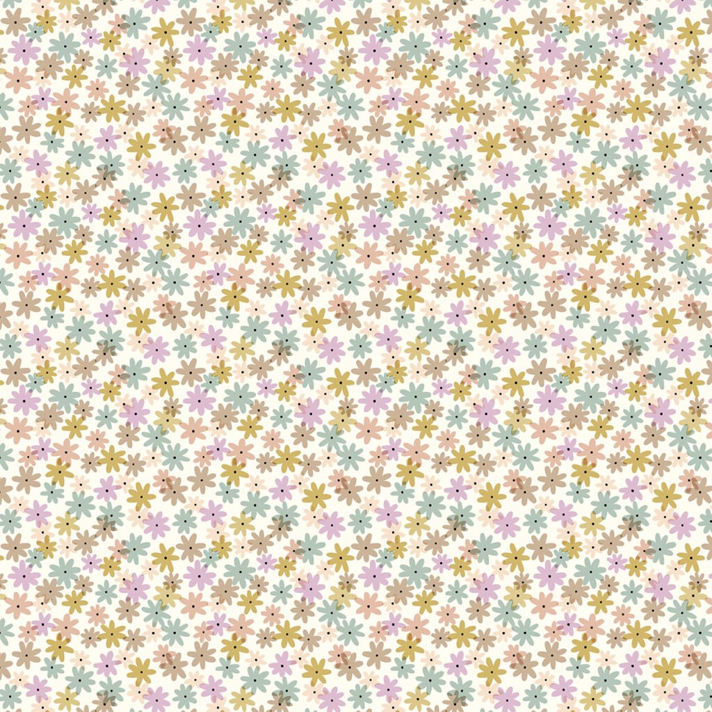 Daisy type flowers